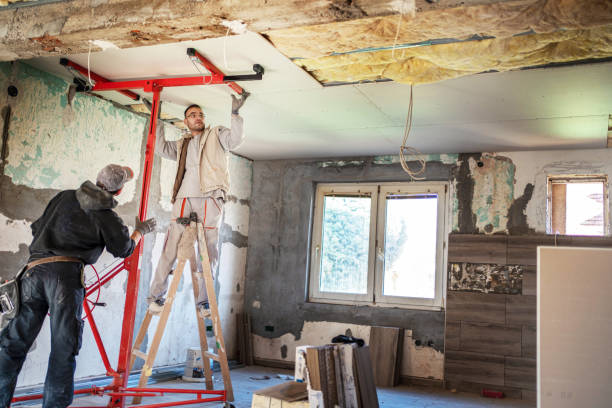 Best Insulation Maintenance and Repair in Wood River, IL