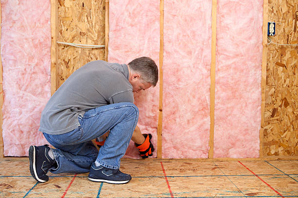 Best Insulation Installation Services in Wood River, IL