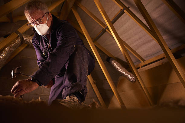 Best Insulation Installation Services in Wood River, IL